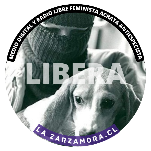 persona con pasamontaña carga a un perrito rescatado de un laboratorio que experimentaba con el. Arriba dice  medio digital y radio libre feminista ácrata antiespecista